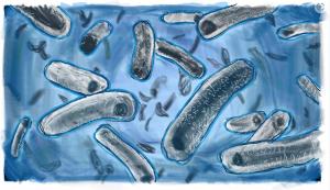 Kinan-Bacteria-Stylus-drawing